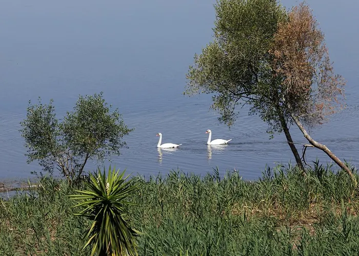 Luxurious Trinity Kondókali